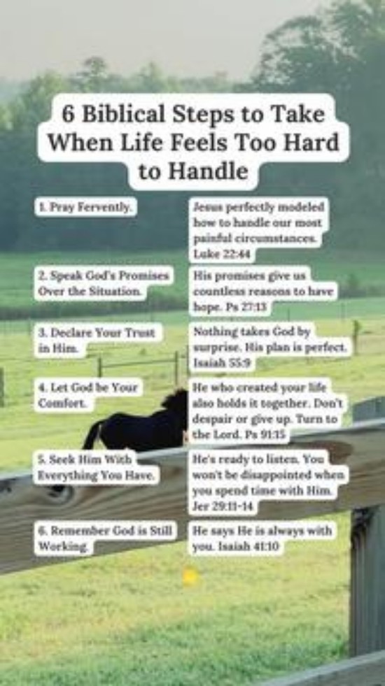 6 Biblical Steps to Take When Life Feels Too Hard to Handle
