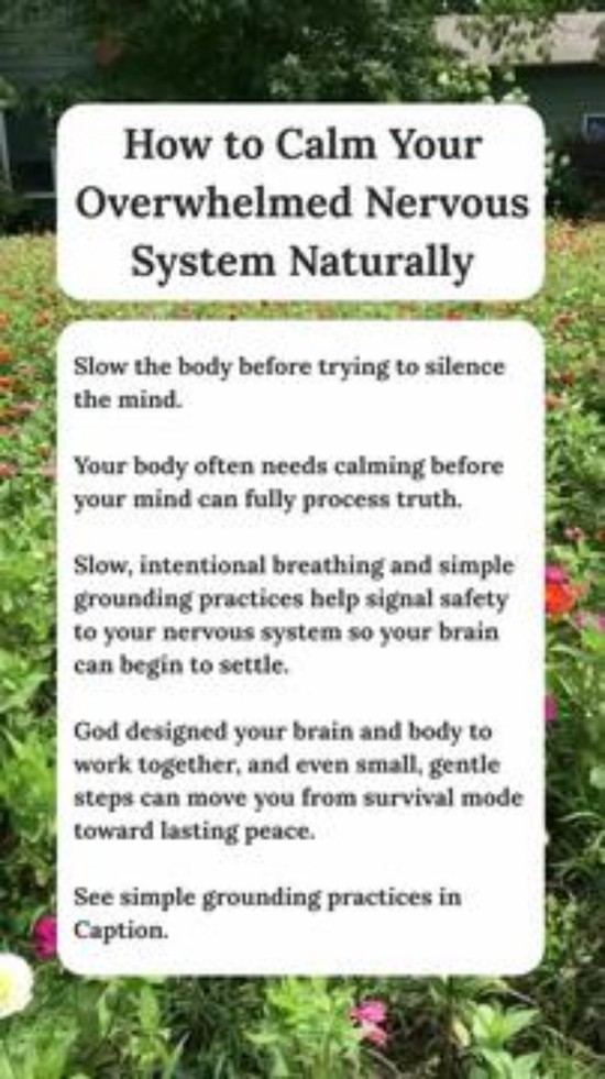 How to Calm Your Overwhelmed Nervous System Naturally