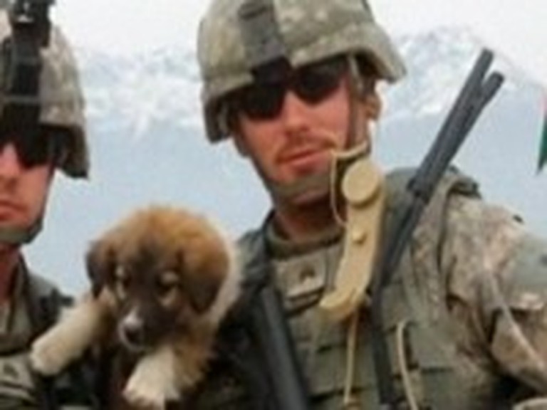 Soldier Reunites with Heroic Dogs from Afghanistan