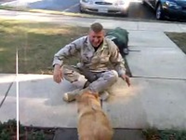 Soldier Reunites with his Dog After a Year