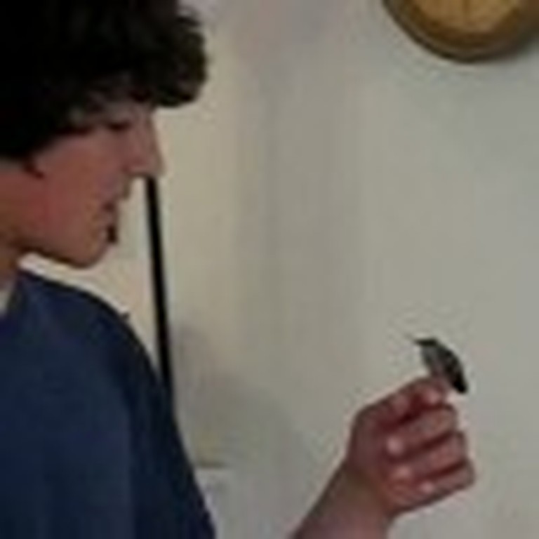 Boy Rescues a Baby Hummingbird That Was Attacked