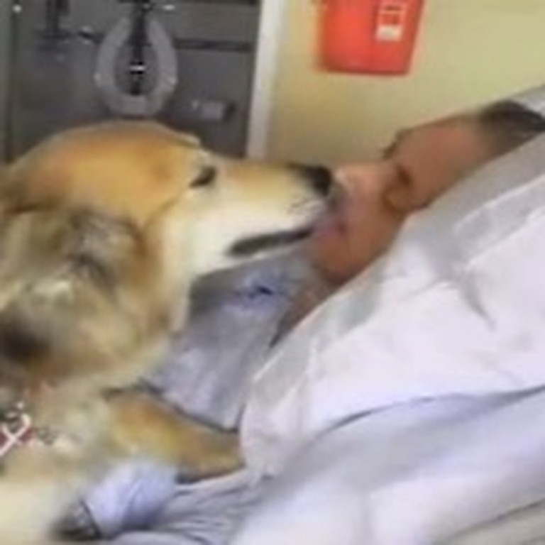 Homeless Man's Dying Wish to be Reunited with his Dog