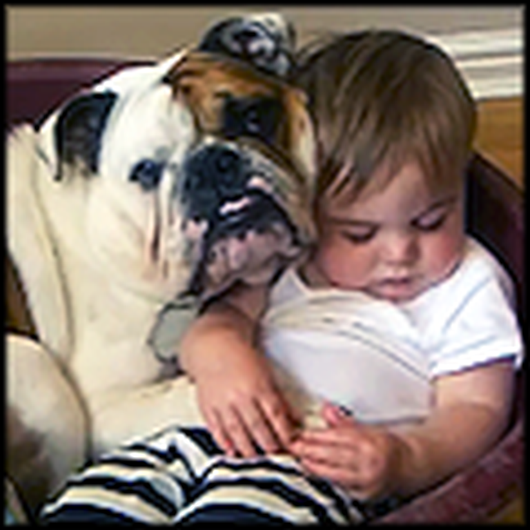 Bulldog Watches Over his Little Human Baby Brother