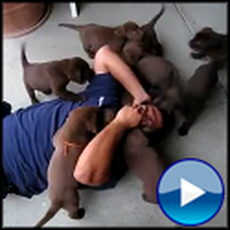 Puppy Invasion - Man Gets Mauled by Happy Puppies