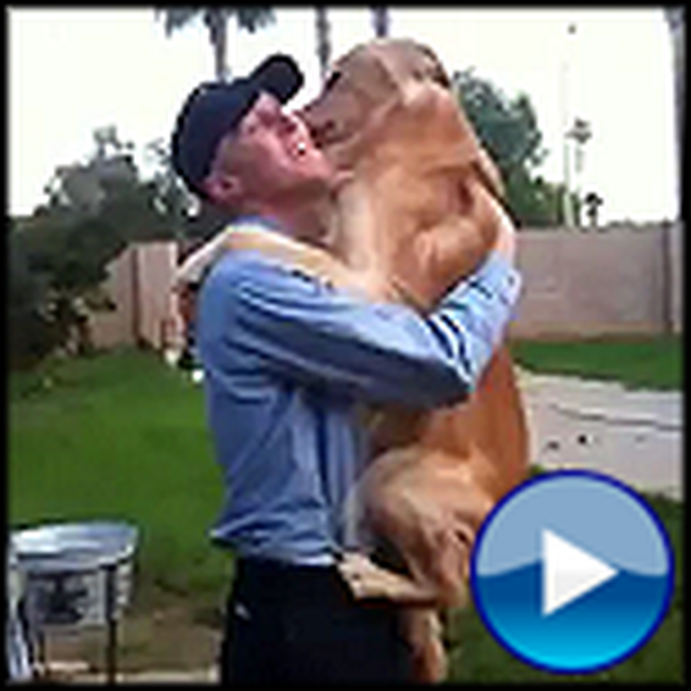 Two Dogs Give their Soldier Daddy a Huge Hug