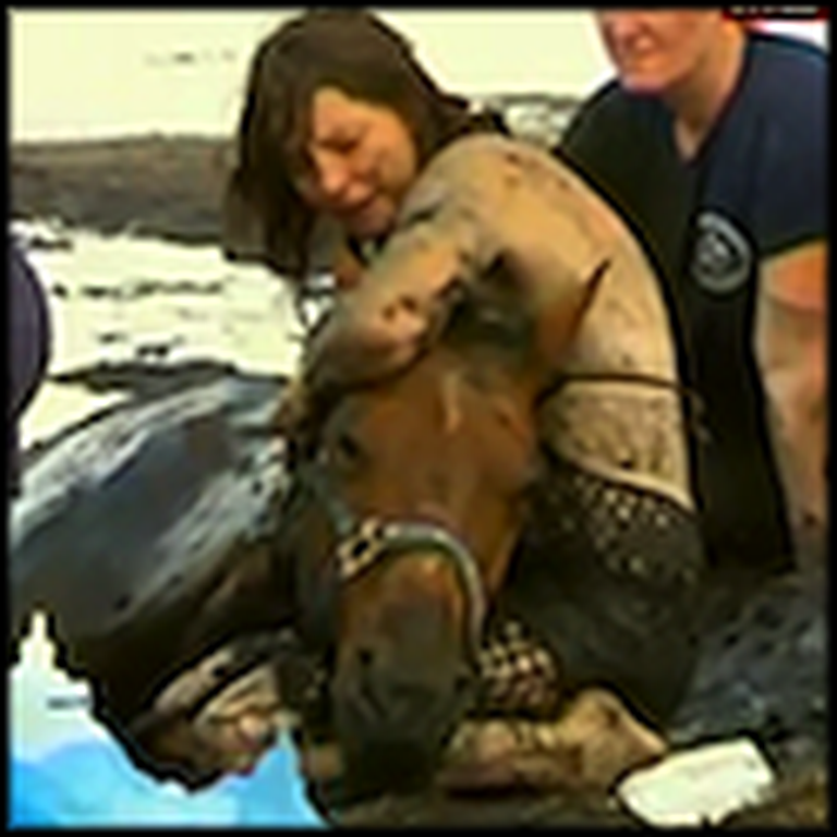 Woman Stays with her Horse in Quicksand for 3 Hours