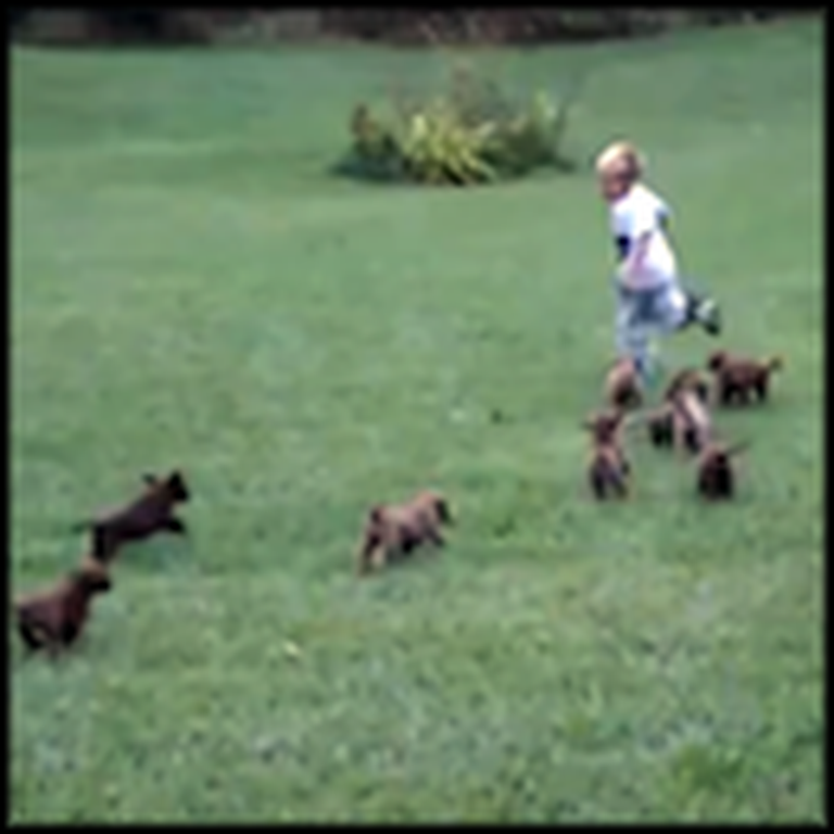 Gang of Puppies Chase the Happiest Boy in the World