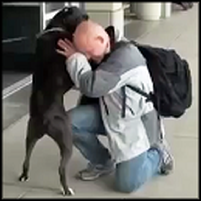 Soldier Home From Overseas Surprises his Happy Dog