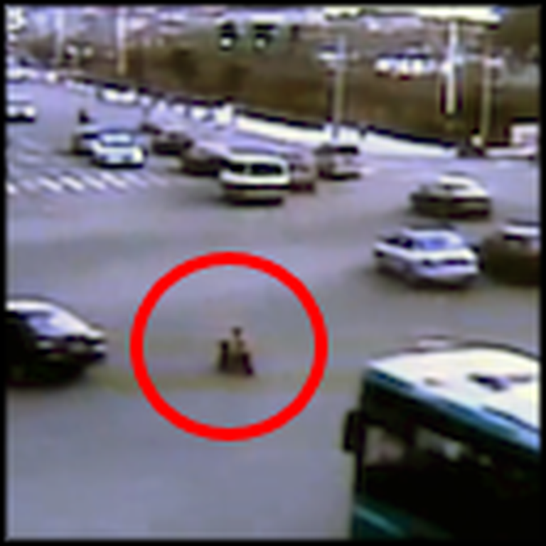 3 Year Old on a Scooter in Busy Traffic is Miraculously Saved