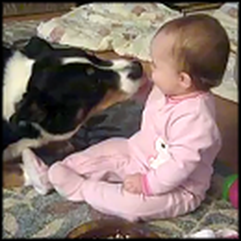 Happy Laughing Baby Shares Cheerios with a Doggy