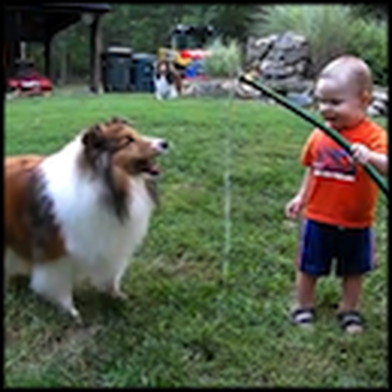Baby and Dog Playing with a Hose Will Make Your Day