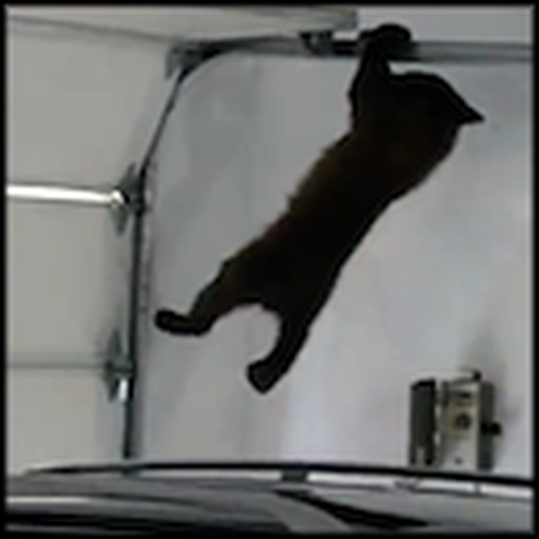 Mama Bear Rescues her Cub From a Garage - Wait Til You See How