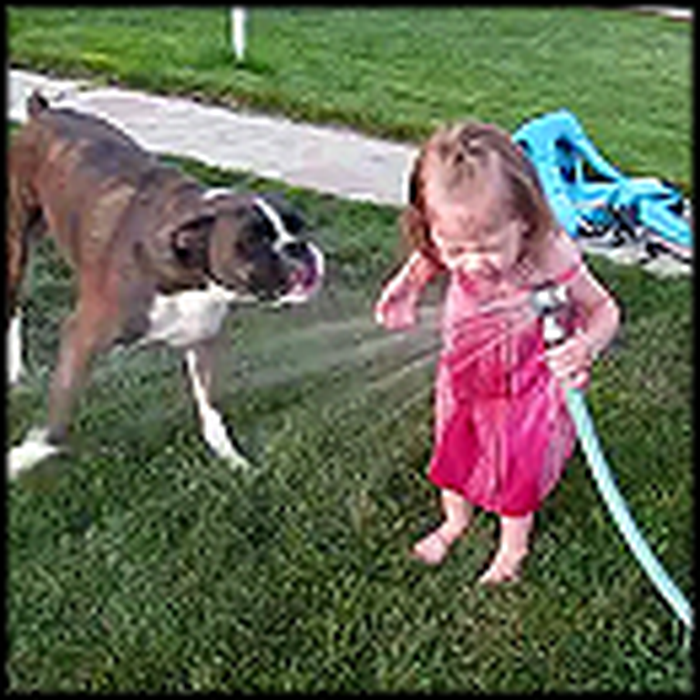 Boxer Teaches a Girl How to Drink From a Hose - So Cute