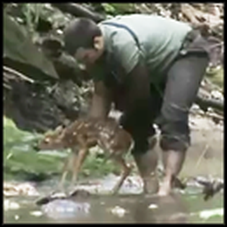 Paralyzed Man Saves a Fawn From Drowning - Very Heroic