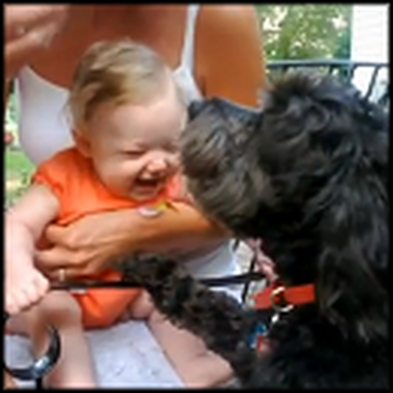 A Laughing Baby and Begging Dog That Will Make Your Day