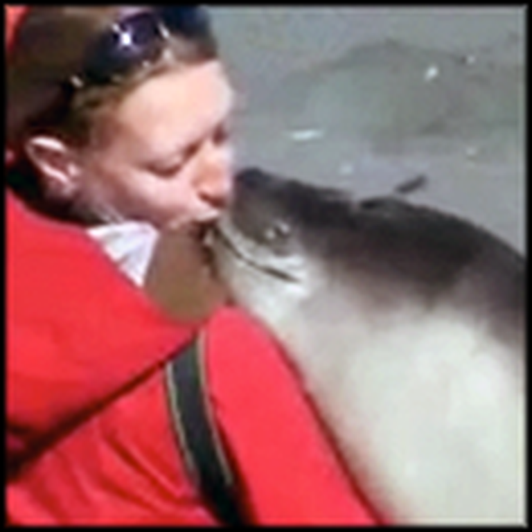 Seal Meets a Girl and Falls in Love With Her