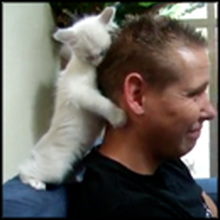 Tiny Ragdoll Kitten Gives a Boy a Big Hug - Aww