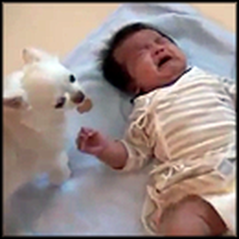 Caring Dog Tries to Comfort a Crying Baby with a Cookie