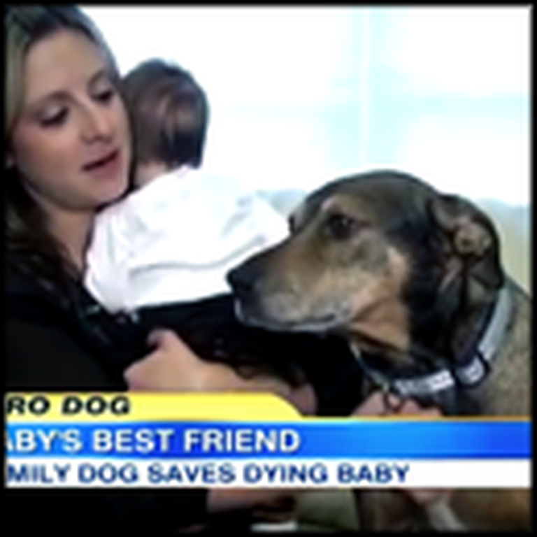 A Dying Baby is Saved by a Dog the Family Rescued