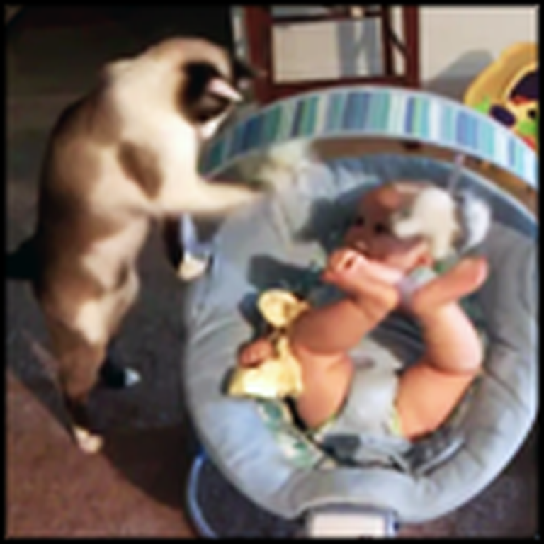 Kitty Makes Excellent Babysitter - the Baby Loves It