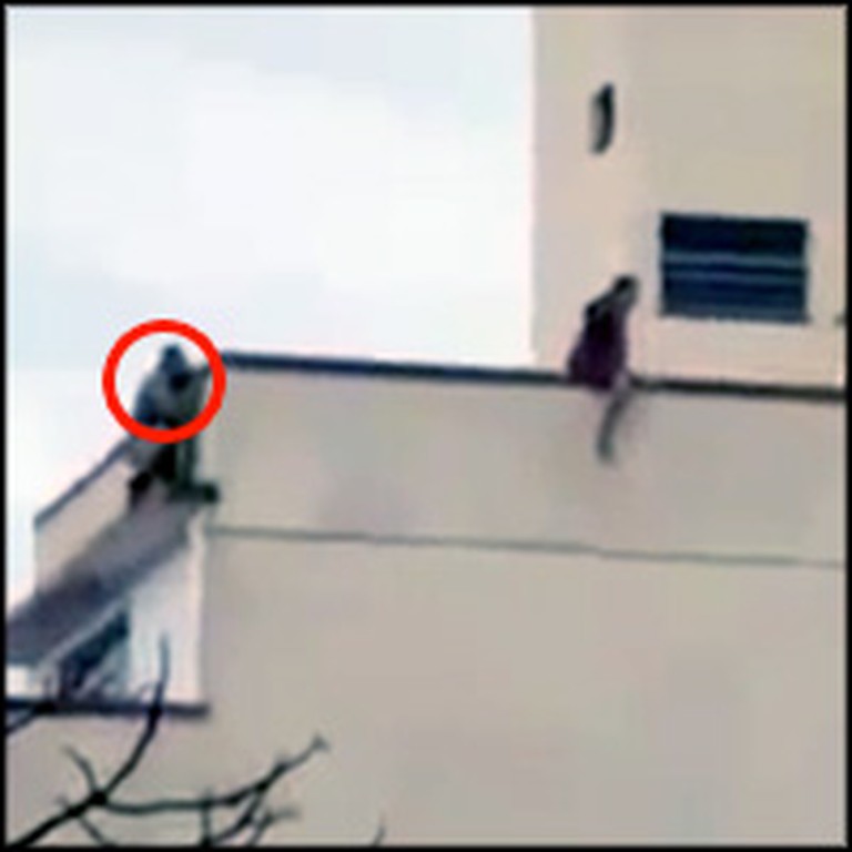 God Sends an Angel to Save a Desperate Woman From Suicide