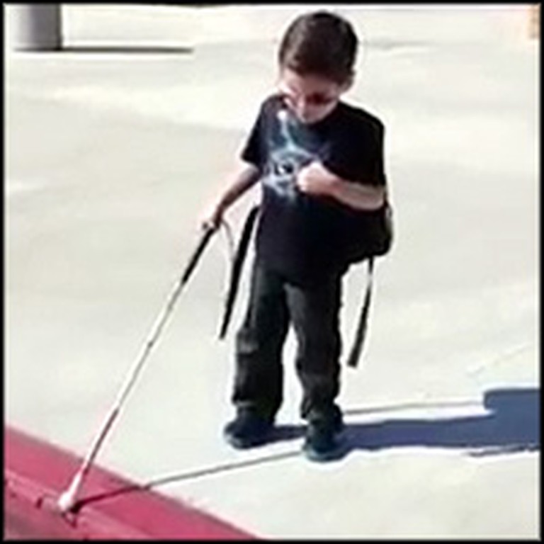 Blind 4 Year-Old Bravely Walks With Cane for First Time