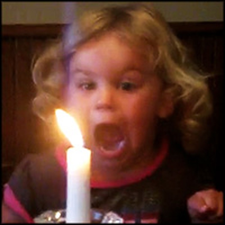 Adorable Little Girl's Hilarious Attempt to Blow Out a Candle
