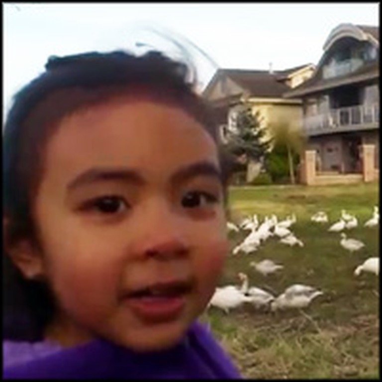 Little Girl Says the Funniest Thing When She Sees a Flock of Geese