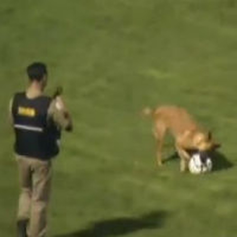 Something Awesomely Cute Happens in the Middle of a Soccer Game