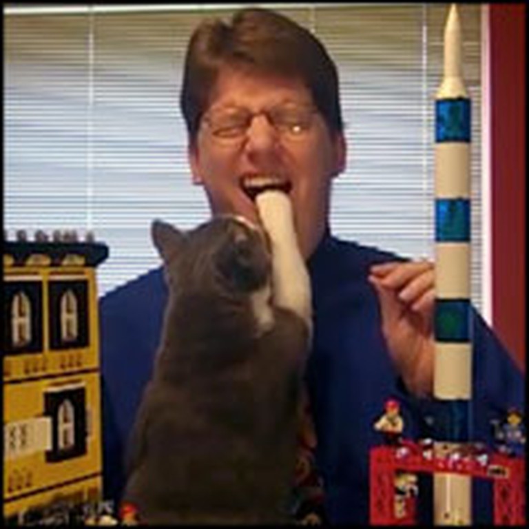 Silly Cat Interrupts a Man's Video in the Funniest Way
