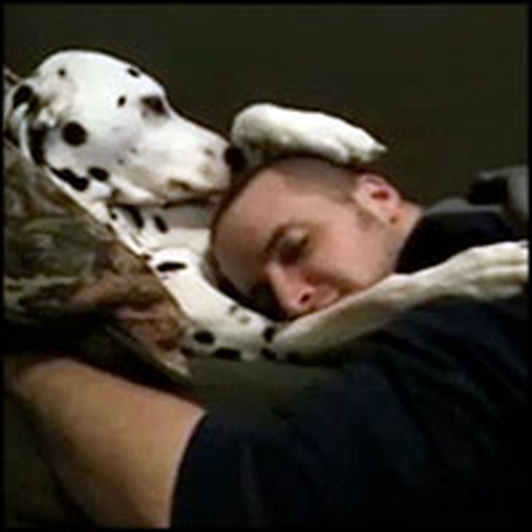 Dalmatian Does the Sweetest Thing to Comfort His Sad Owner