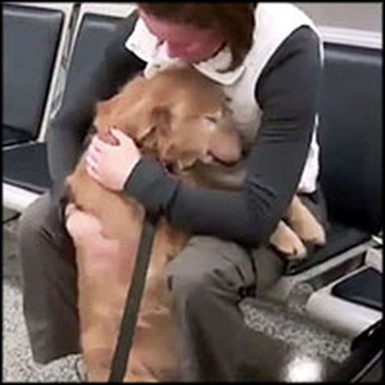 Best Compilation of Soldier and Dog Reunions on the Internet