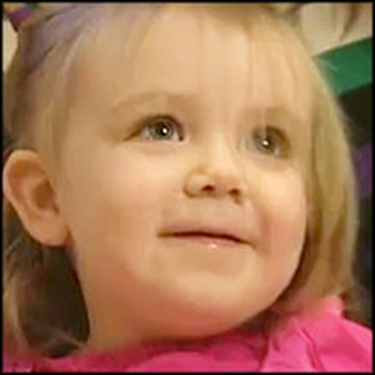 Toddler Miraculously Survives a Pencil Piercing Through Her Eye and Brain