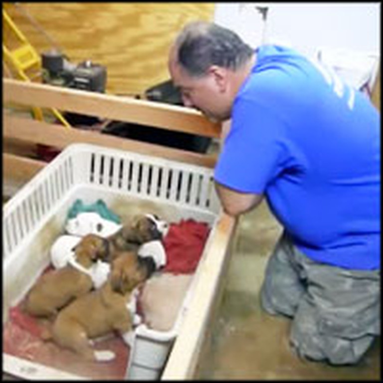 Tough Guy's Special Talent is Putting Puppies to Sleep
