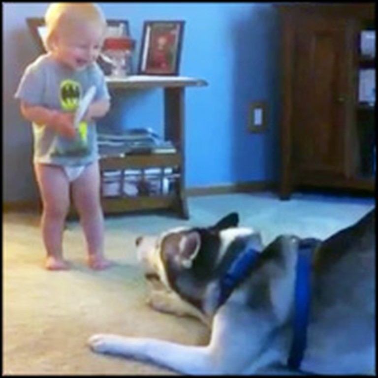 Baby and His Husky Have an Adorable Deep Conversation