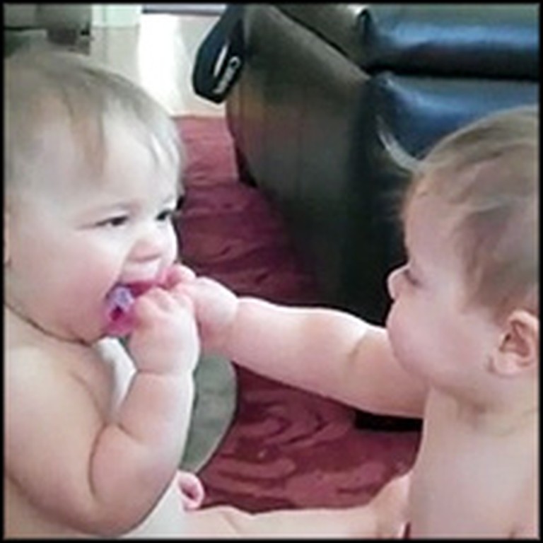 Adorable Twins Have a Pacifier War - So Darling