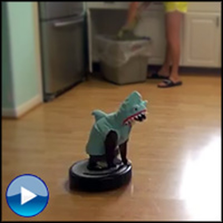 Hilarious Cat Dressed as a Shark Rides a Roomba... LOL, Too Funny!