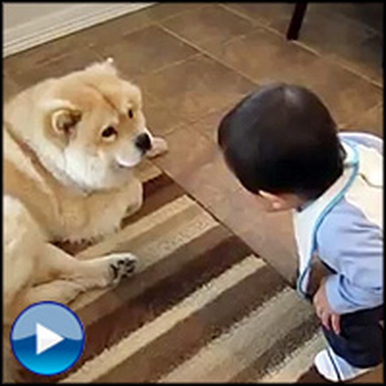 Happy Baby Tries to Talk to the Family Dog - It's the Cutest Thing Ever