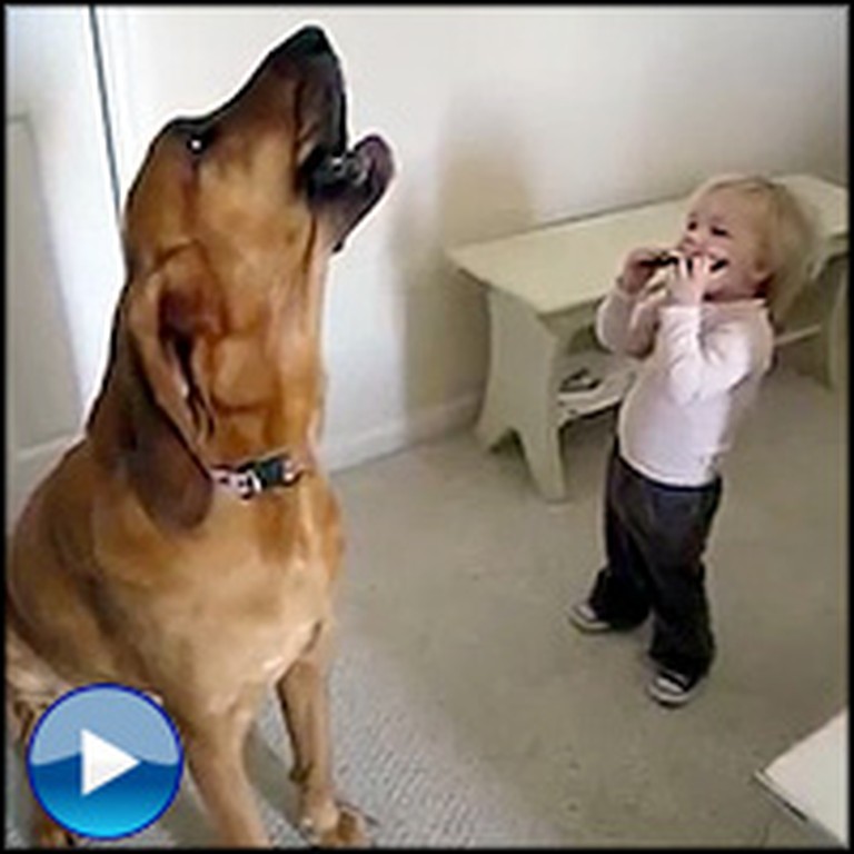 Toddler and Dog Perform a the Cutest Duet You'll Ever See