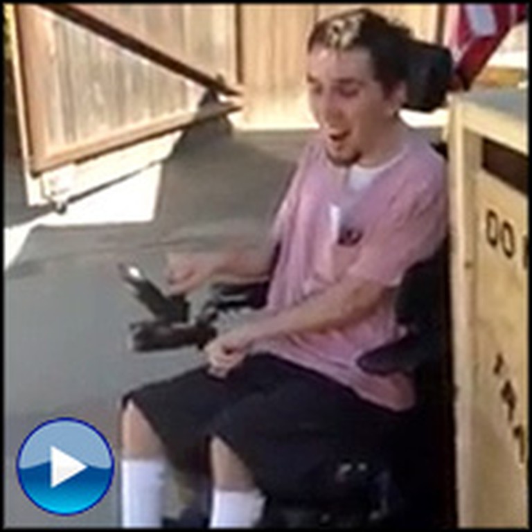 Wheelchair-Bound Boy Gets the Most Touching Surprise