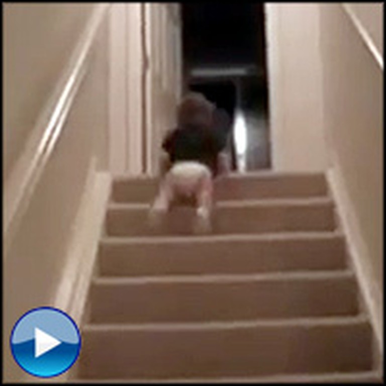 Clever Baby Finds Hilarious Way to Take the Stairs. That's an Improvement!