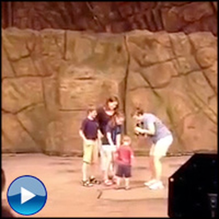 Kids Are Surprised by Their Soldier Father Onstage - Their Reaction is the Best