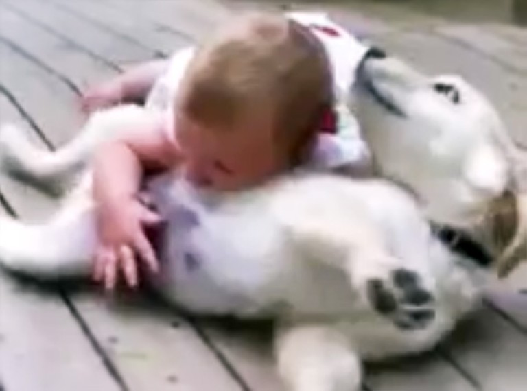 Adorable Baby and Puppy are SO Excited to Play Together - Awww!