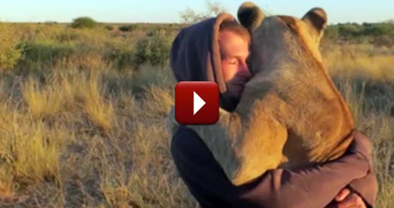 This Loving Lioness Will Change How You Think About Lions