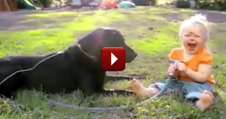 Babies and Dogs Become Best Friends for a Reason - They LOVE Each Other