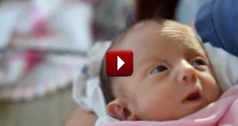 50 Days of Love - One Baby's Short but Beautiful Journey on Earth