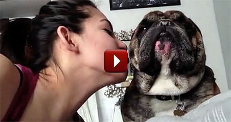 This is the Funniest Compilation of Pets Rejecting Their Owners' Kisses