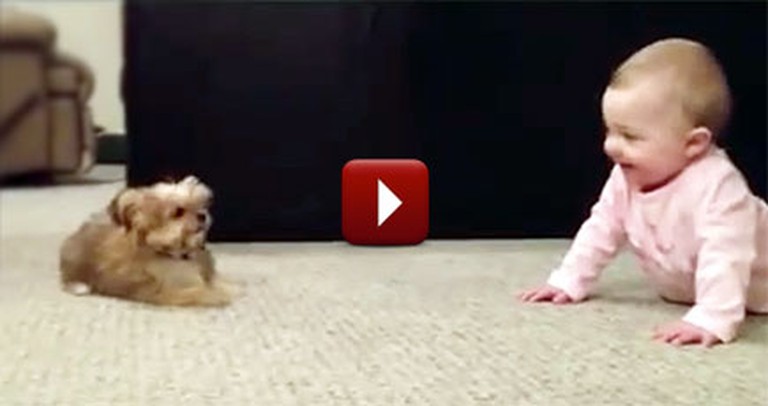Adorable Puppy and Baby Have Their Own Language - Too Cute