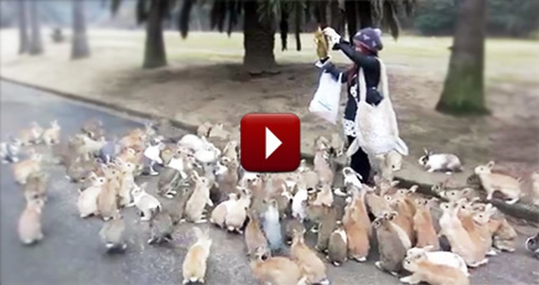 Stampede of Adorable Rabbits Chase After One Lucky Girl