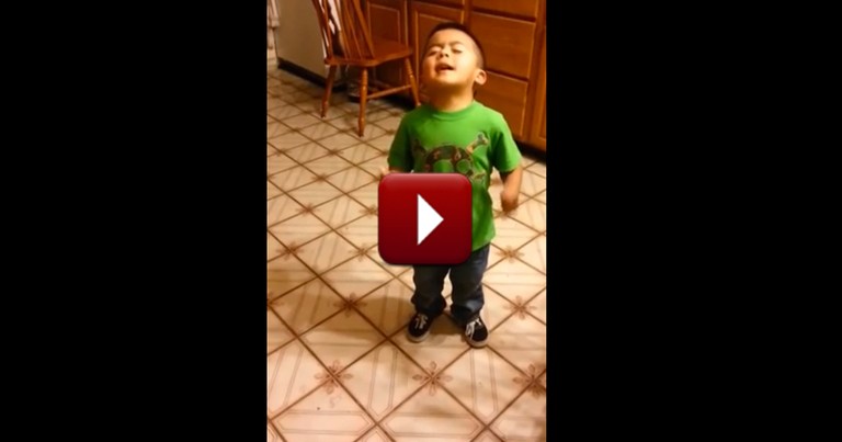 Adorable 3-Year-Old Gets in a Heated Debate Over the Funniest Thing